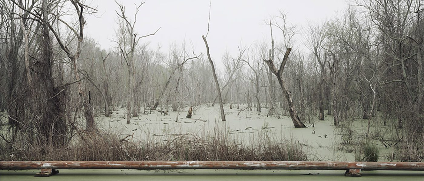 Revisiting the South: Richard Misrach