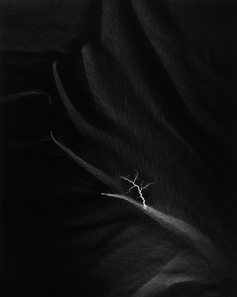 Hiroshi Sugimoto, Lightning Fields 182, 2009, gelatin silver print, purchase through funds provided by patrons of Collectors Evening 2012, 2012.3. Hiroshi Sugimoto, Lightning Fields 182, 2009, gelatin silver print, purchase through funds provided by patrons of Collectors Evening 2012, 2012.3.