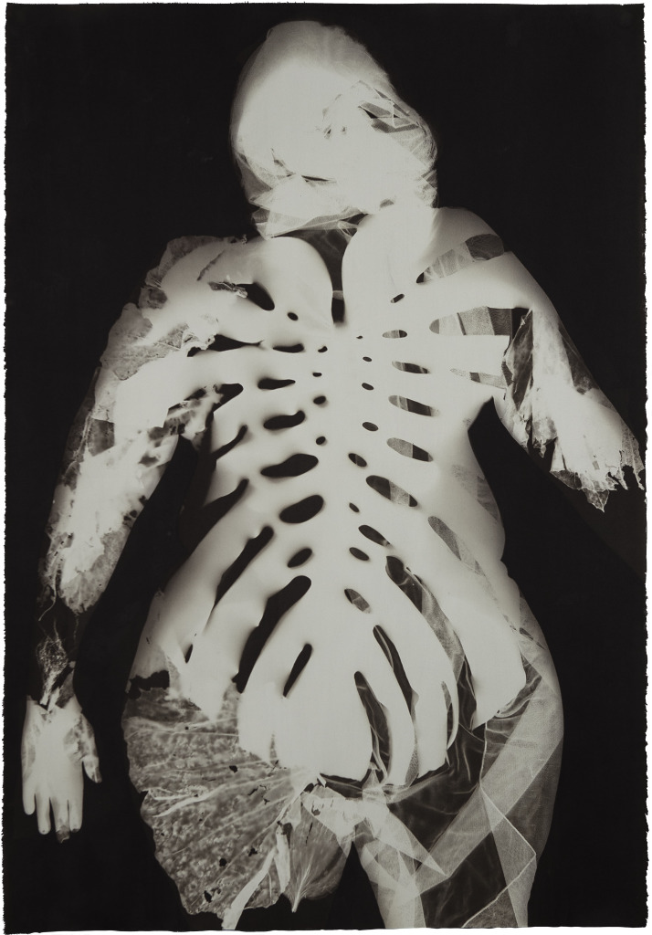 V. Elizabeth Turk, Calaeno, 2018, Van Dyke print, purchase with funds from Lucinda W. Bunnen for the Bunnen Collection, 2019.182. V. Elizabeth Turk, Calaeno, 2018, Van Dyke print, purchase with funds from Lucinda W. Bunnen for the Bunnen Collection, 2019.182.