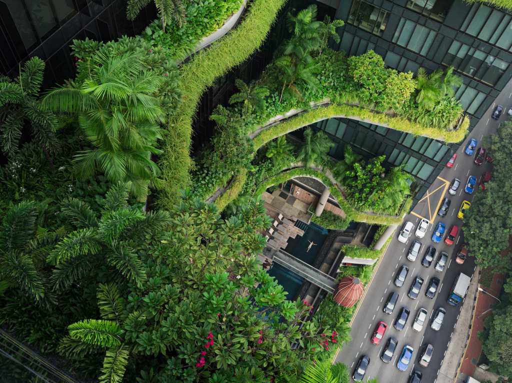Lucas Foglia, Esme Swimming, Parkroyal on Pickering, Singapore, 2014, pigmented inkjet print, gift of Irene Zhou, 2020.152. Lucas Foglia, Esme Swimming, Parkroyal on Pickering, Singapore, 2014, pigmented inkjet print, gift of Irene Zhou, 2020.152.