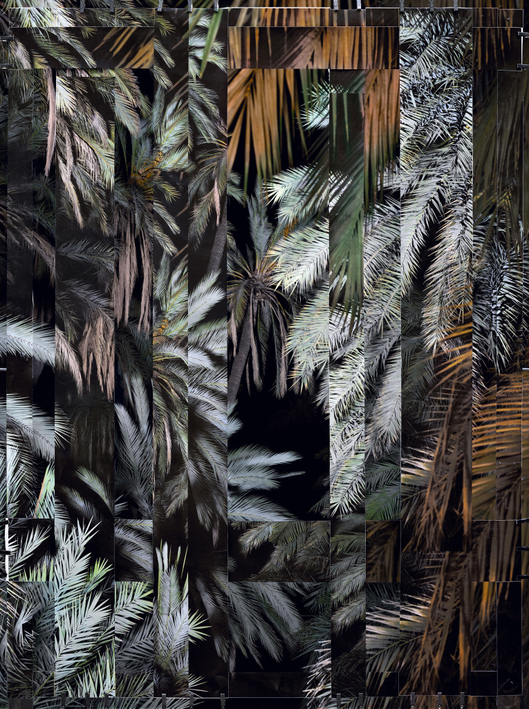 Noémie Goudal French, born 1984 Phoenix V, 2021 Dye coupler print, purchase through funds provided by patrons of Collectors Evening 2023, 2023.360 Noémie Goudal French, born 1984 Phoenix V, 2021 Dye coupler print, purchase through funds provided by patrons of Collectors Evening 2023, 2023.360