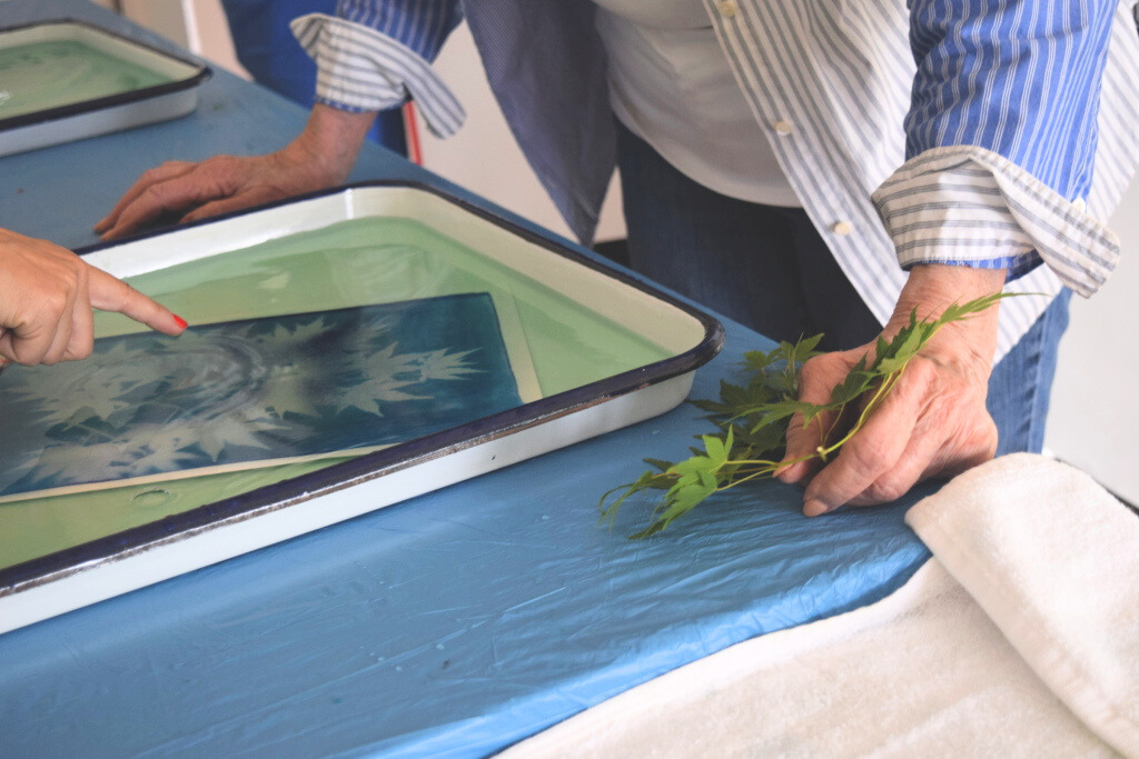 Two people work on a cyanotype print project. One holds a leafy plant, while the other points to a blue photo print in a tray of water on a table covered with a blue cloth.