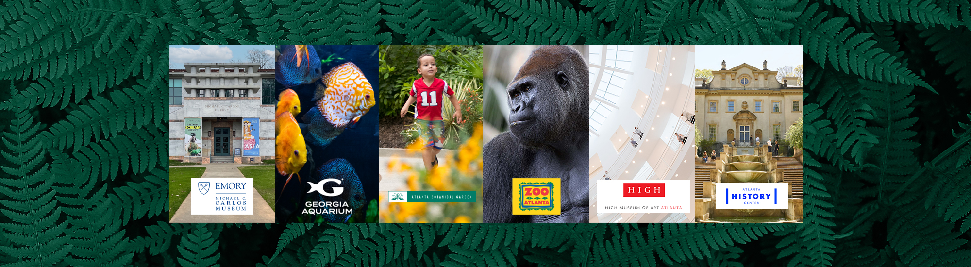 Steam2025webgraphicheader October