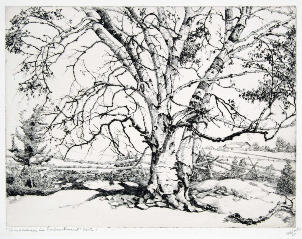 1991.182 Locke Crop O3