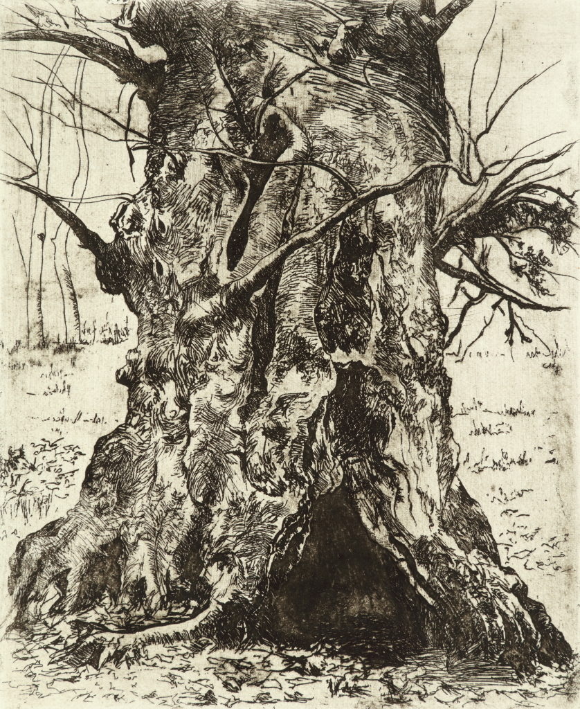 1995.158 Joseph Stella O3