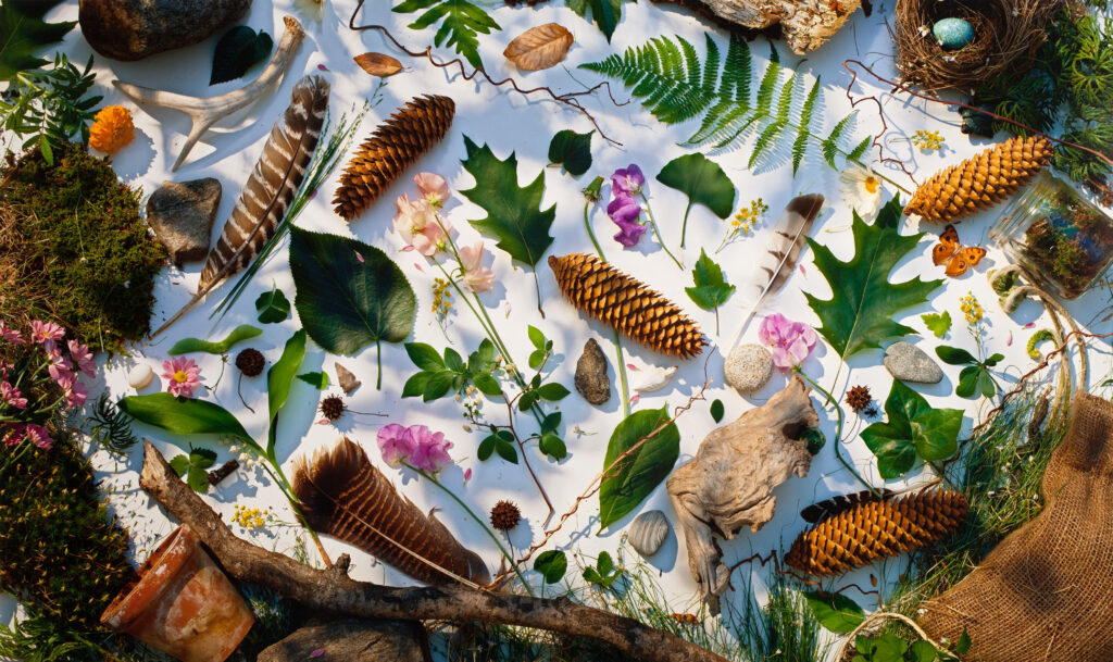 Nature From I Spy A Book Of Picture Riddles