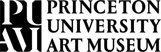 Puam Lockup Horizontal Black